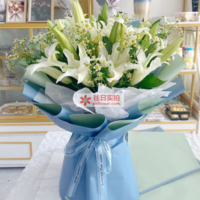 许昌8支白色多头百合洋甘菊，互倾的思念