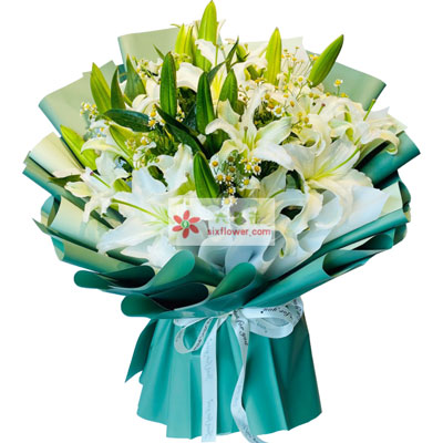 许昌8支白色多头百合洋甘菊，如潮的思念