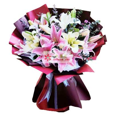 许昌8支百合花，天天开心